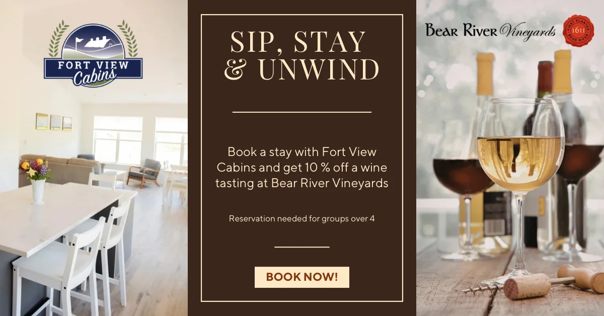 Sip, Stay & Unwind